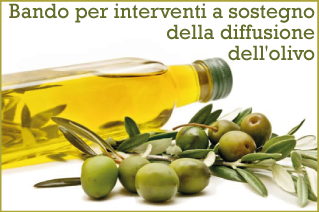 olio